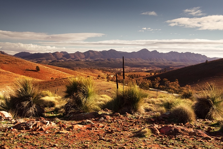 Wilpena Pound
Flinders Ranges National Park - © William Mackesy