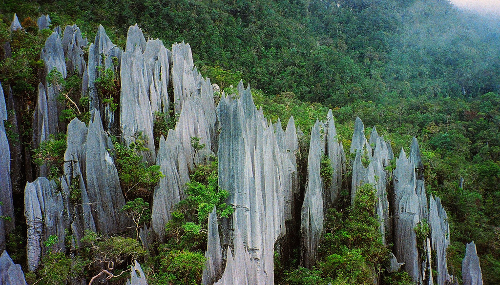The Pinnacles, Gunung Mulu
Pinnacles at Mulu, Gunung Mulu National Park, Borneo - ©  flickr user- Paul White