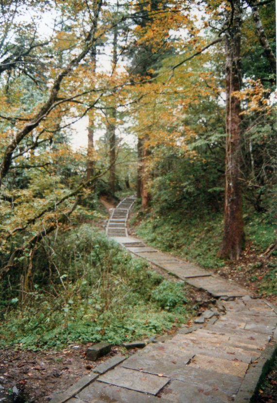 Ancient stone path, autumnal forest Ancient stone path, autumnal forest
