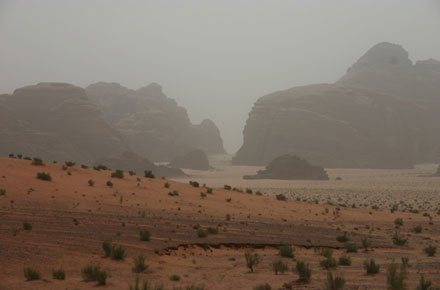 Wadi Siq Makhras and Siq Um Ishrin
Wadi Siq Makhras  - © William Mackesy