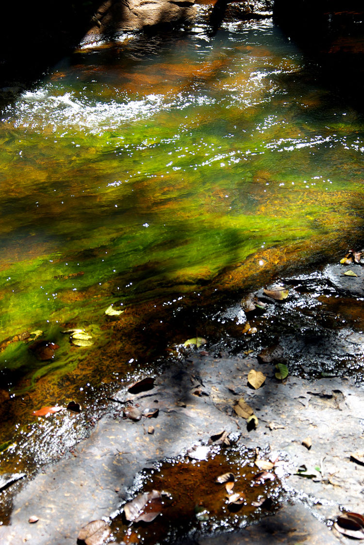 Parque National de Sete Cidades - By Flickr user deltafrut