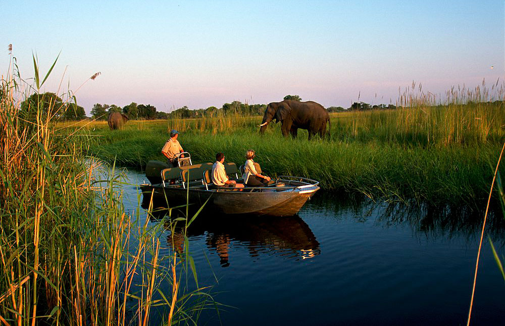 Okavango Delta
River Cruising in the Okavango Delta   - © wiki user Kgosi Kai