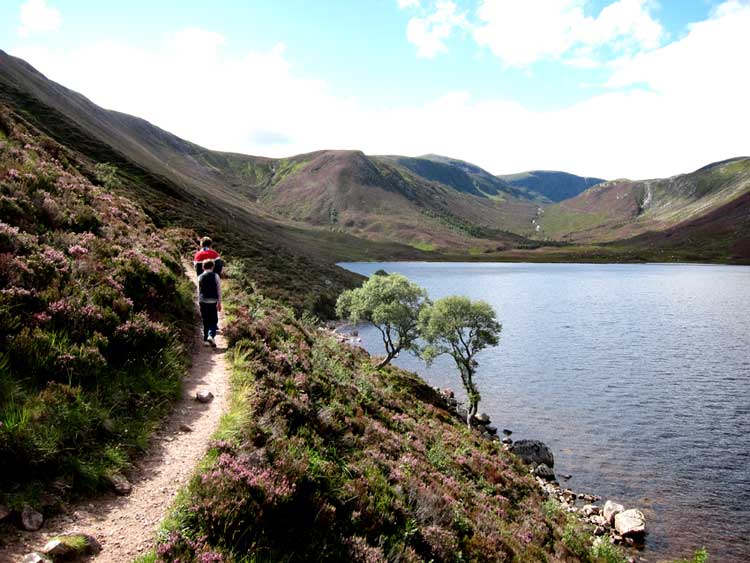 South along Loch Muick