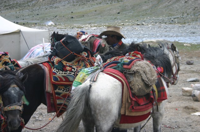 China Tibet, Mount Kailash Kora, , Walkopedia