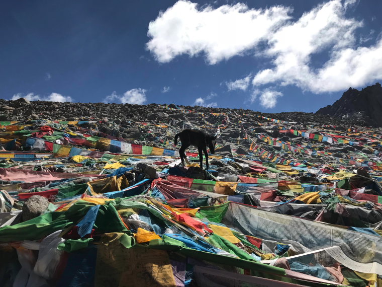 China Tibet, Mount Kailash Kora, Mt Kailash Kora, Walkopedia