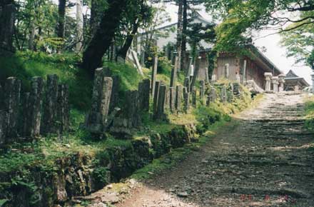 Japan Kansai: Kii Peninsula, Omine San, Omine San - Steles near summit, Walkopedia