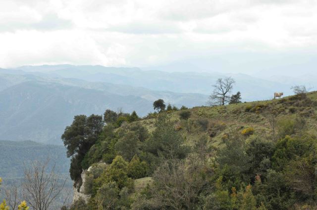 Spain Catalonia, Catalan Hills, Catalan Hills - Rupit to Tavertet, Walkopedia