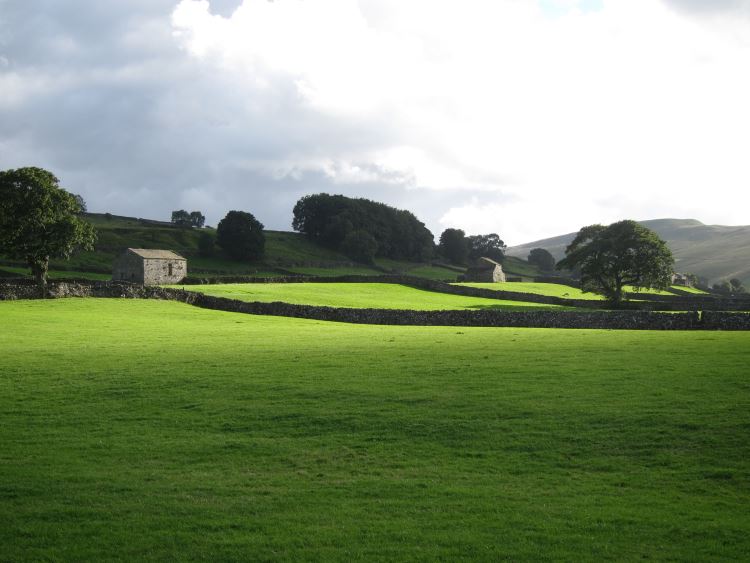 United Kingdom England Yorkshire Dales, Yorkshire Dales, Wensleydale, evening light, Walkopedia