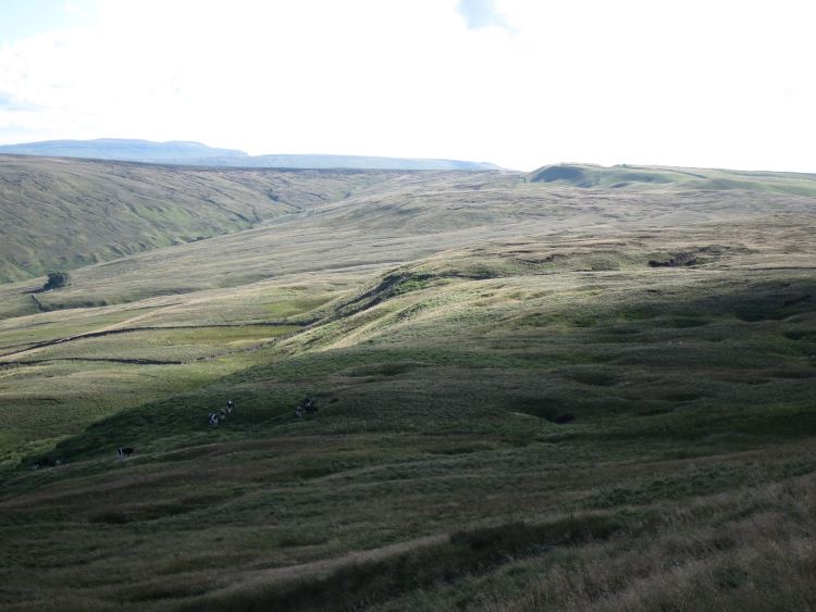 United Kingdom England Yorkshire Dales, Yorkshire Dales, South from Cam High Road, Walkopedia