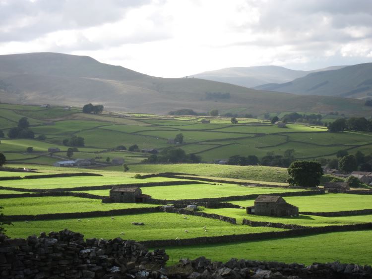 United Kingdom England Yorkshire Dales, Yorkshire Dales, West along Wensleydale from Wether Fell, evening light, Walkopedia