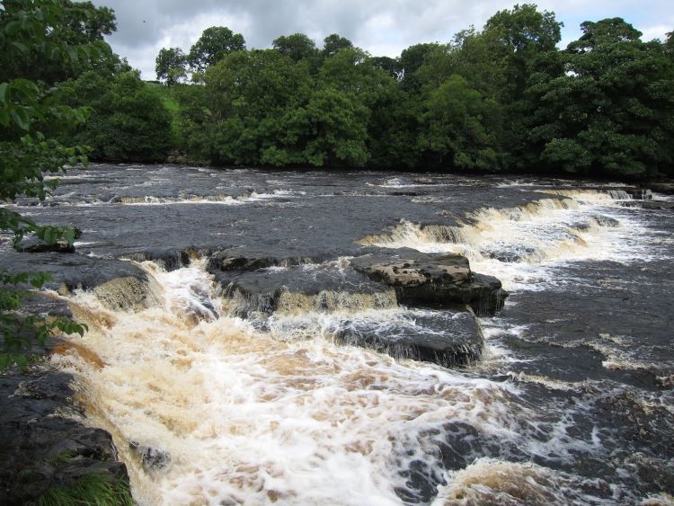 Ure below Aysgarth - © William Mackesy... Yorkshire Dales: Ure below Aysgarth - © William Mackesy...