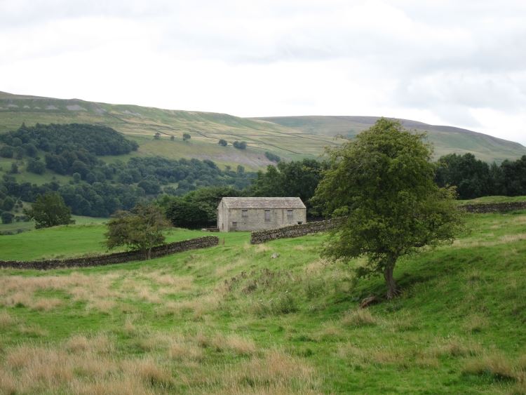 United Kingdom England Yorkshire Dales, Yorkshire Dales, Ure valley below Aysgarth, Walkopedia