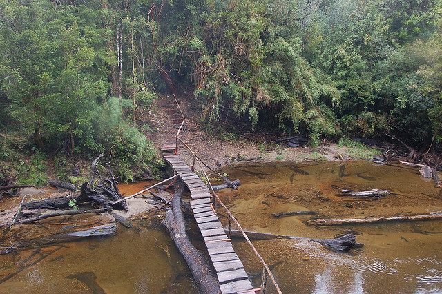 Chile Patagonia: Alerce Andino NP, Alerce Andino NP, , Walkopedia