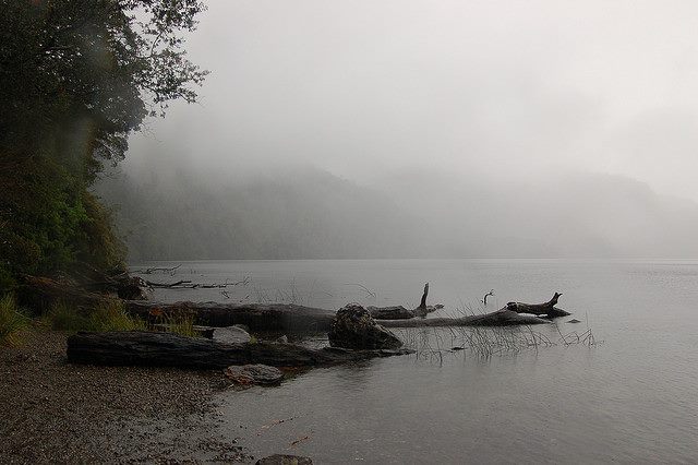 Chile Patagonia: Alerce Andino NP, Alerce Andino NP, , Walkopedia