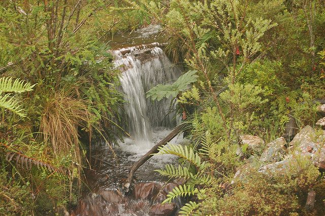 Chile Patagonia: Alerce Andino NP, Alerce Andino NP, , Walkopedia