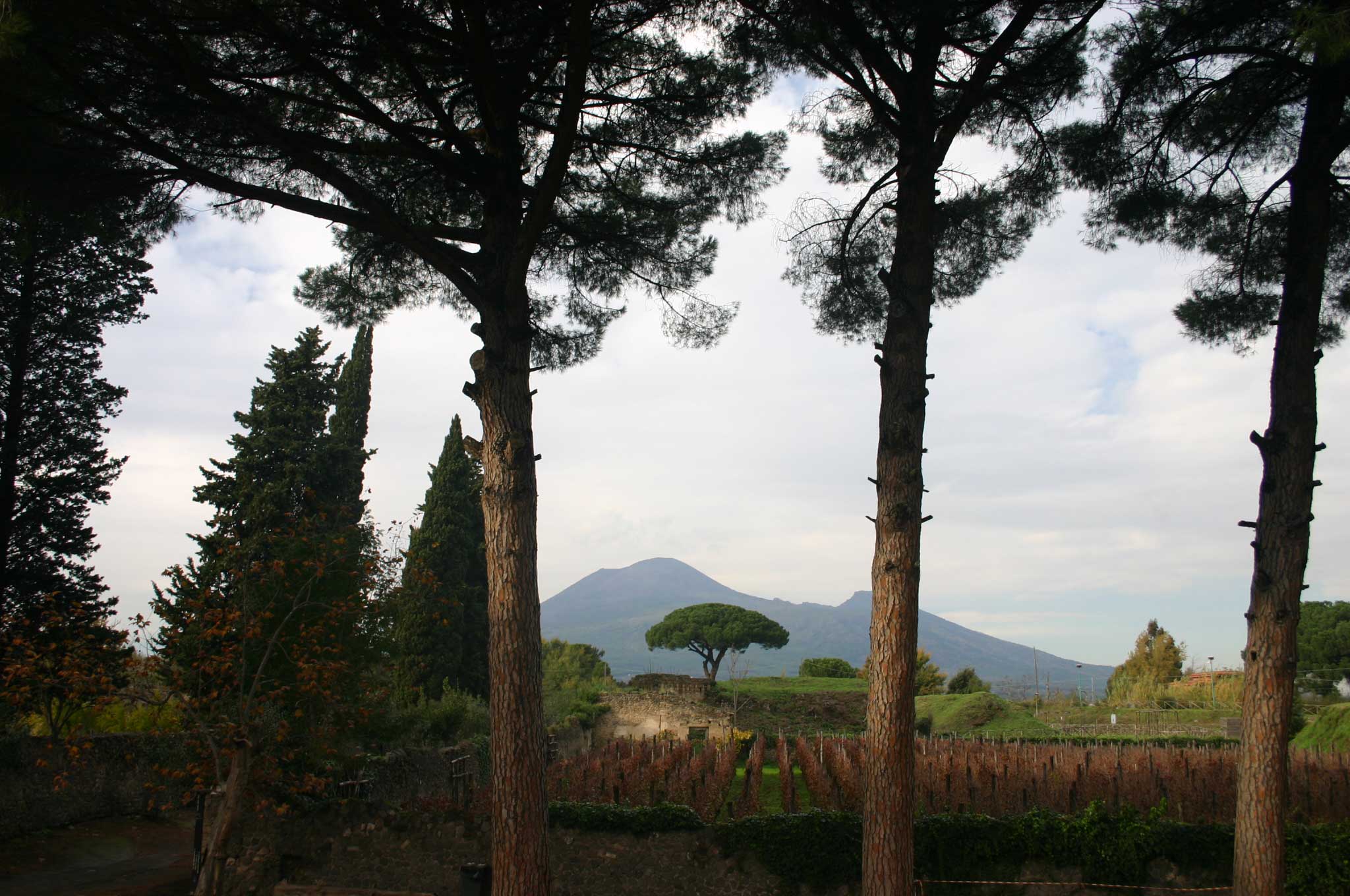 Italy Campania, Across Pompeii, Pompeii - Vesuvius through the trees, Walkopedia