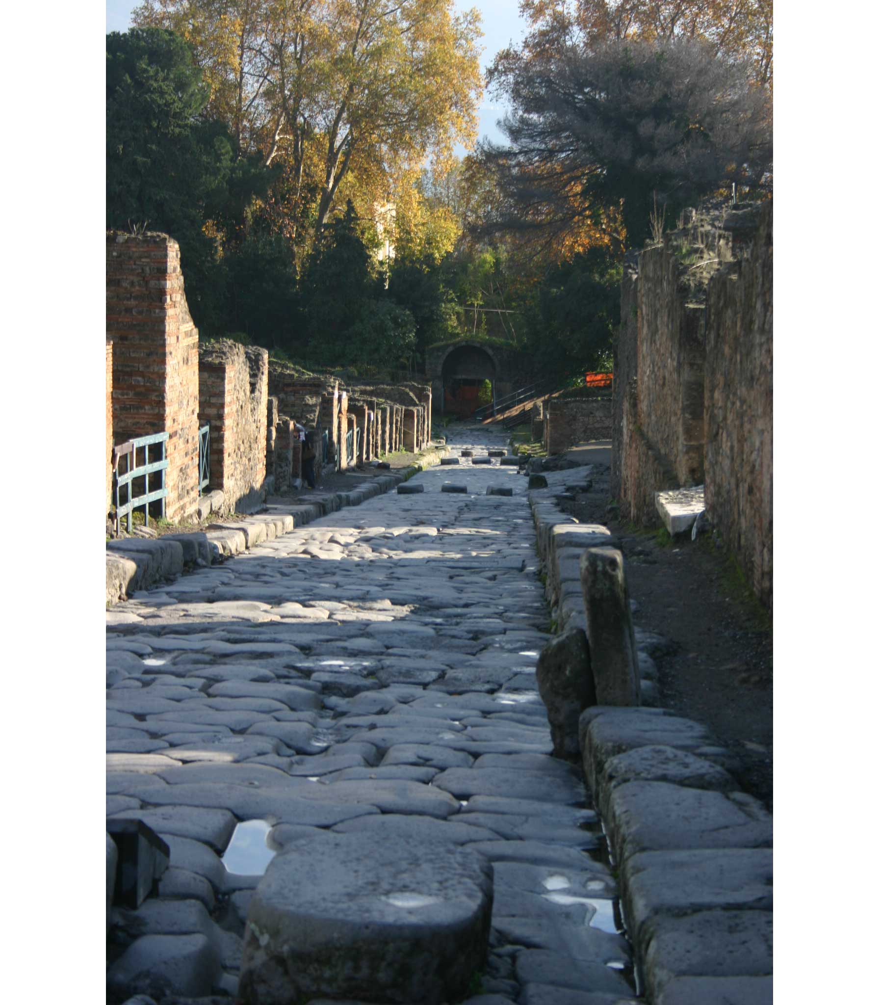Pompeii - the street, again - © William Mackesy Across Pompeii: Pompeii - the street, again - © William Mackesy