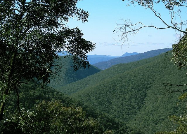 Australia New South Wales, The Six Foot Track, , Walkopedia