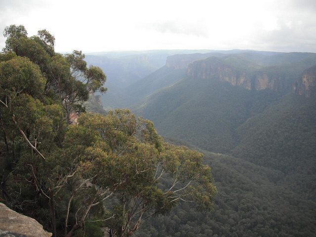 Australia New South Wales, The Six Foot Track, , Walkopedia