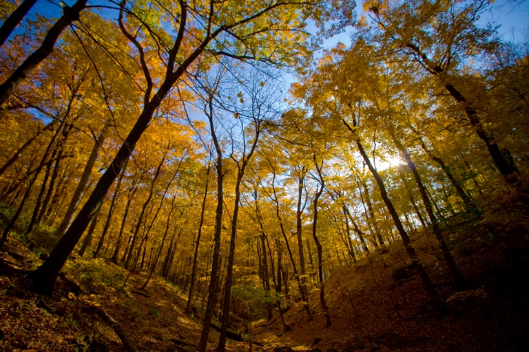 USA Mid-west, Matthiessen State Park, Matthiessen State Park, Walkopedia