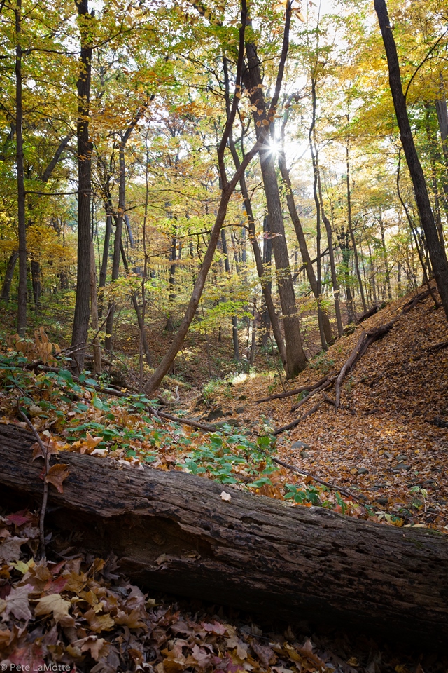 USA Mid-west, Matthiessen State Park, Matthiessen state park , Walkopedia