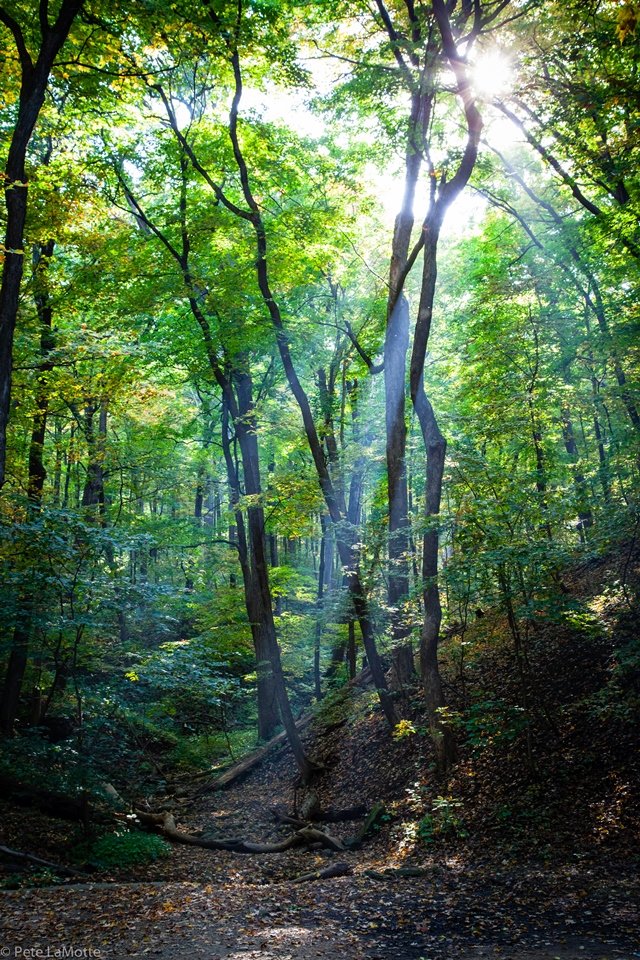 USA Mid-west, Matthiessen State Park, Matthiessen state park, Walkopedia