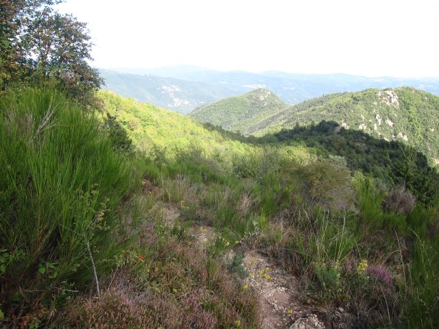 France Pyrenees, Pilo de Belmaig Ridge, The ridge 4, Walkopedia