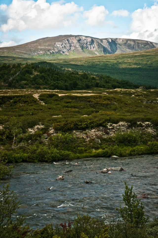 Norway Eastern, St Olav's Way, Dovrefjell, Walkopedia