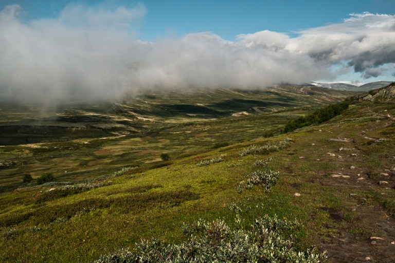 Norway Eastern, St Olav's Way, Dovrefjell in cloud, Walkopedia