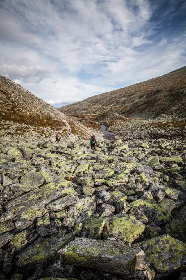 Norway Eastern, St Olav's Way, Rondane, Walkopedia