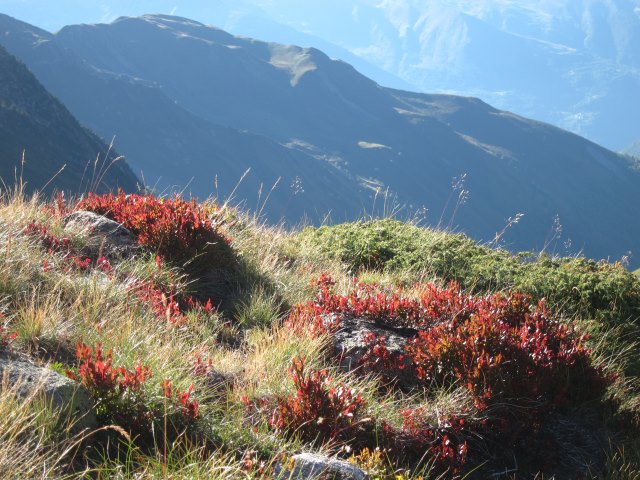 France Pyrenees, Neouvielle, , Walkopedia