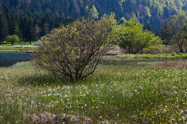 France Pyrenees, Vallee d'Estaing, Lac d'Estaing, Walkopedia