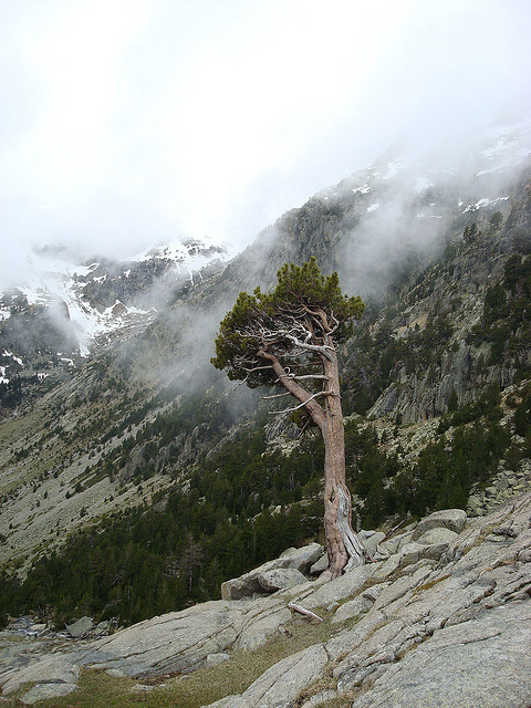 Spain Pyrenees, Aigues Tortes, , Walkopedia