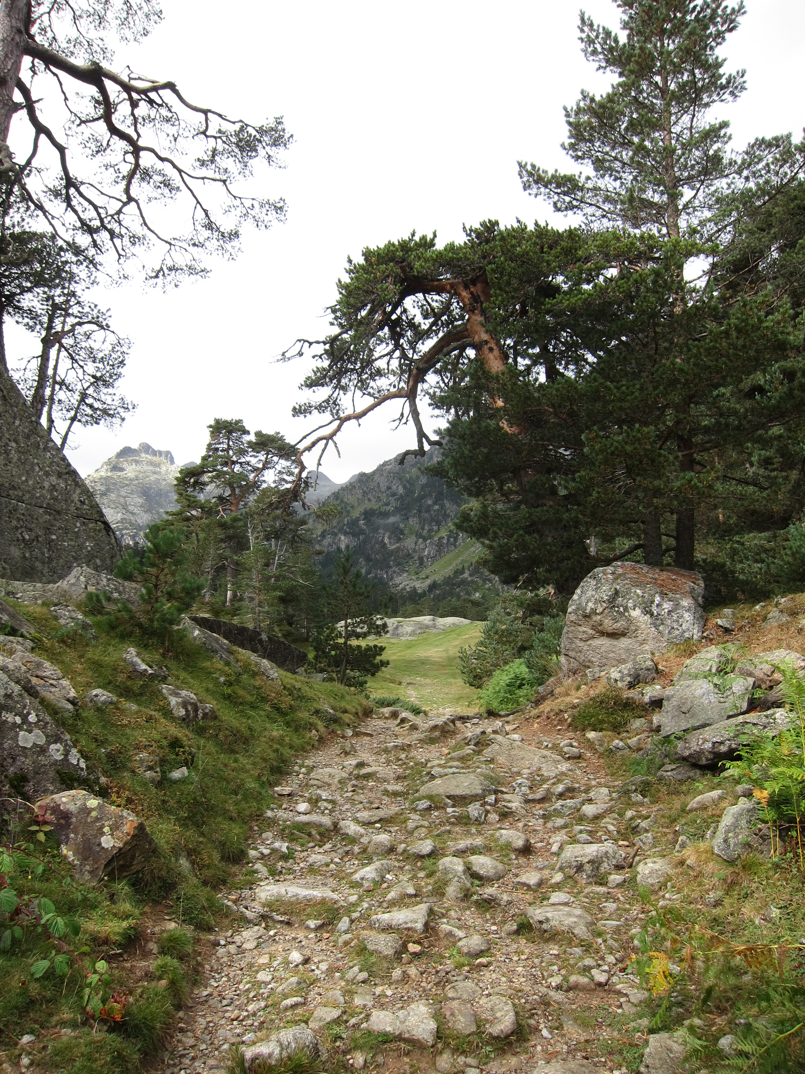 France Pyrenees, Marcadau Valley, , Walkopedia