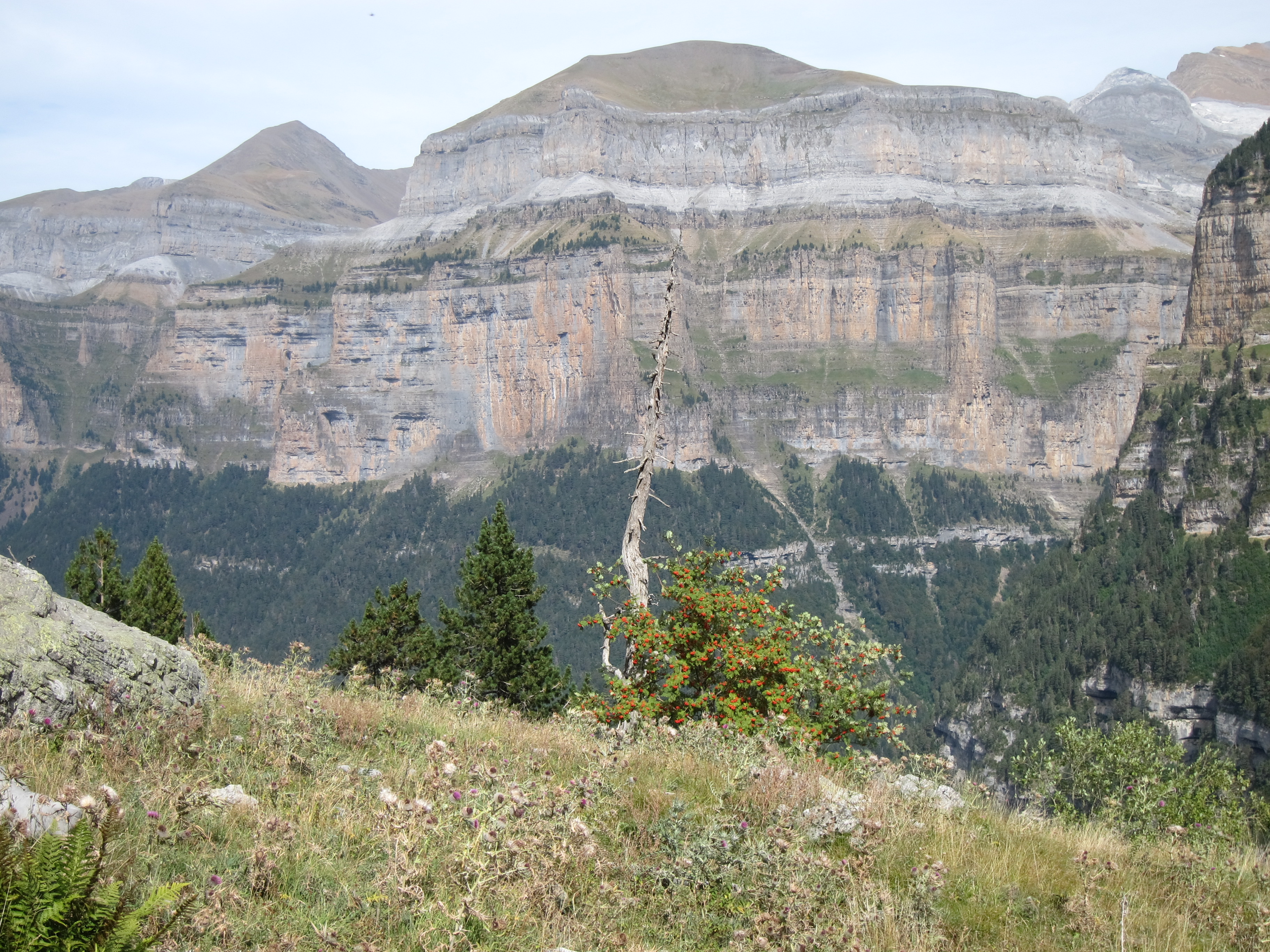 Spain Pyrenees, Ordesa Canyon, , Walkopedia