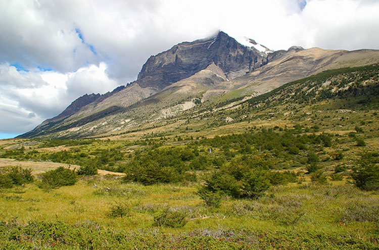 Torres del Paine - ©By Flickr user Cordyph... Torres del Paine and Fitz Roy Massif: Torres del Paine - ©By Flickr user Cordyph...