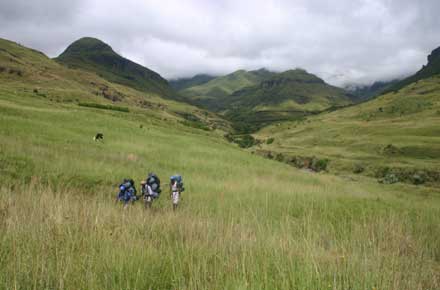 Drakensberg Escarpment - Grasslands - © William Mackesy... Drakensberg Escarpment - Grasslands - © William Mackesy...