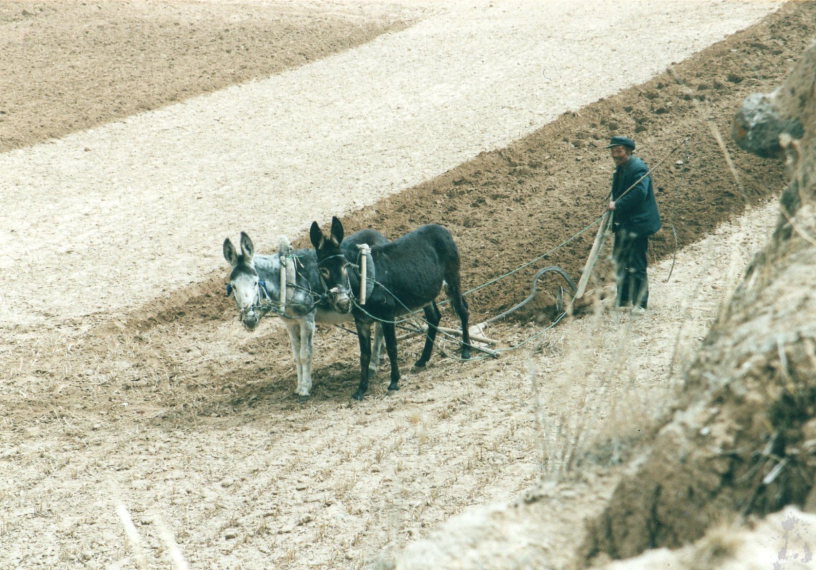 China, Great Wall, Farmer near Datong, 2003, Walkopedia