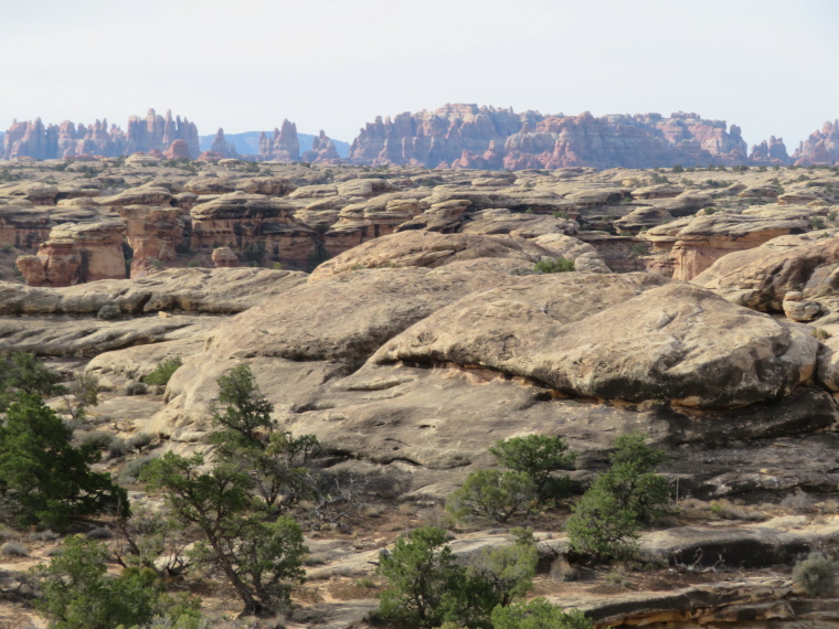 USA SW: Canyonlands NP, Canyonlands National Park, Needles from Slickrock Trail, Walkopedia