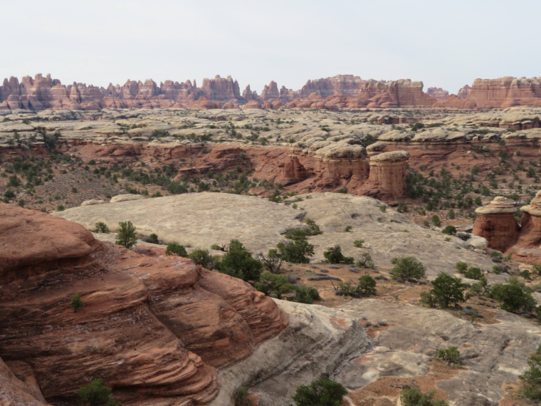 USA SW: Canyonlands NP, Canyonlands National Park, The Needles from formation near Squaw Flat, Walkopedia