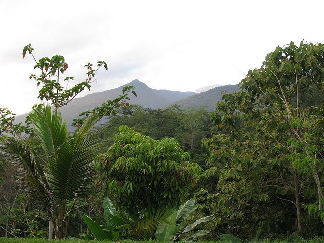 Papua  New Guinea, Kokoda Trail, Deniki, Walkopedia