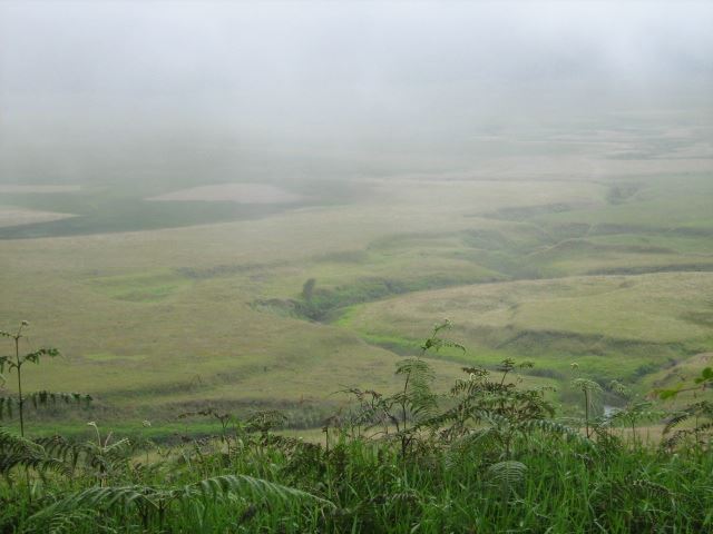 Papua  New Guinea, Kokoda Trail, Myola, on the way to Digger's Camp, Walkopedia