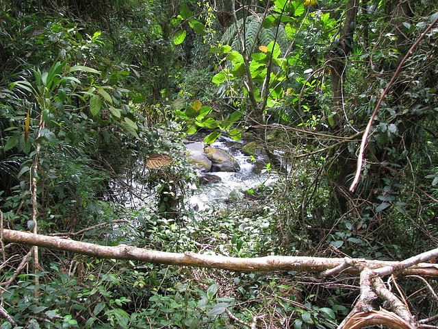 Papua  New Guinea, Kokoda Trail, Between Eora's Creek and Templeton's Crossing, Walkopedia