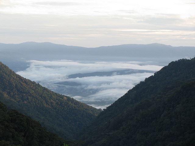 Papua  New Guinea, Kokoda Trail, Early morning at Alola, Walkopedia