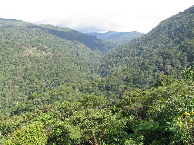 Papua  New Guinea, Kokoda Trail, View from Alola, Walkopedia