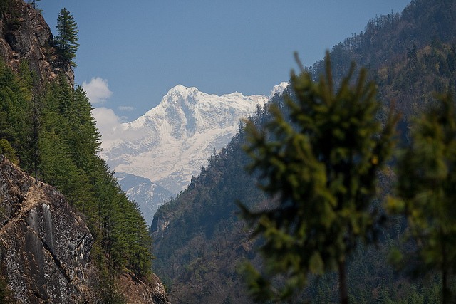 Nepal, Manaslu Circuit, Manaslu Circuit - Manaslu From Chame, Walkopedia