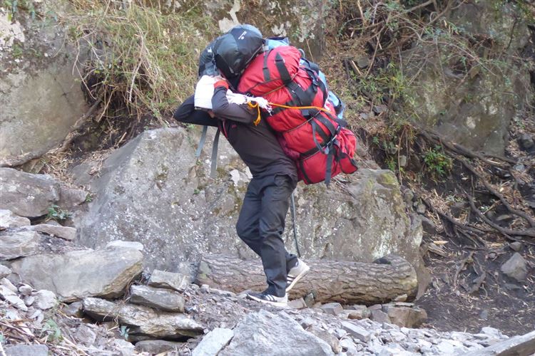 Nepal, Manaslu Circuit, Heavy porter's load (mine was much lighter), Walkopedia