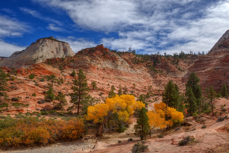 USA SW: Zion, Zion National Park, Fall Colors in Zion National Park, Utah, Walkopedia