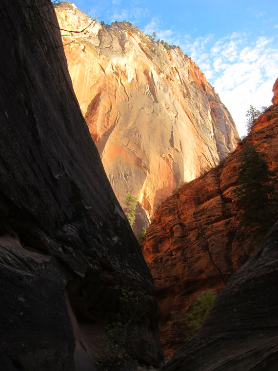 Zion National Park: Cable Mt, evening - © William Mackesy