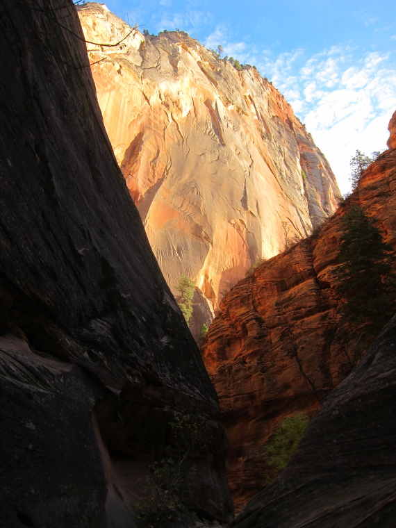 USA SW: Zion, Zion National Park, Cable Mt, evening, Walkopedia